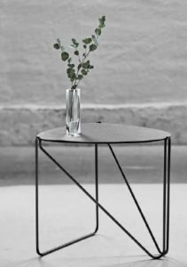 Linddna table cameleon